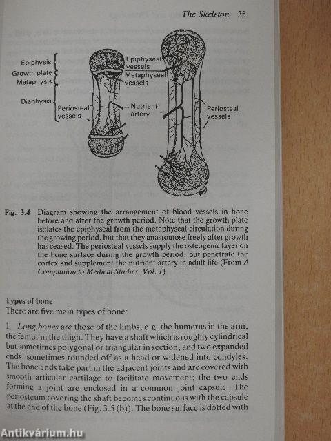 Human Anatomy and Physiology