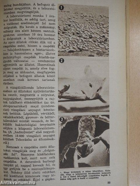 Univerzum 1973. (nem teljes évfolyam)