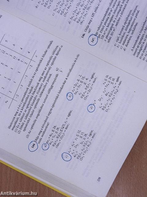 Matematikai programozási gyakorlatok