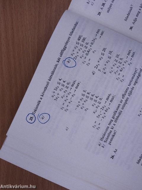 Matematikai programozási gyakorlatok