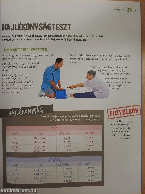 Jöjjön újra lendületbe