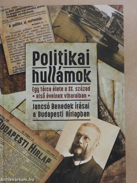 Politikai hullámok