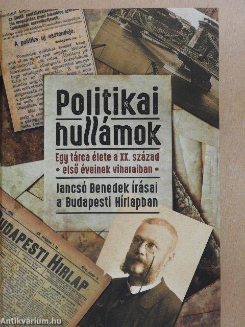 Politikai hullámok