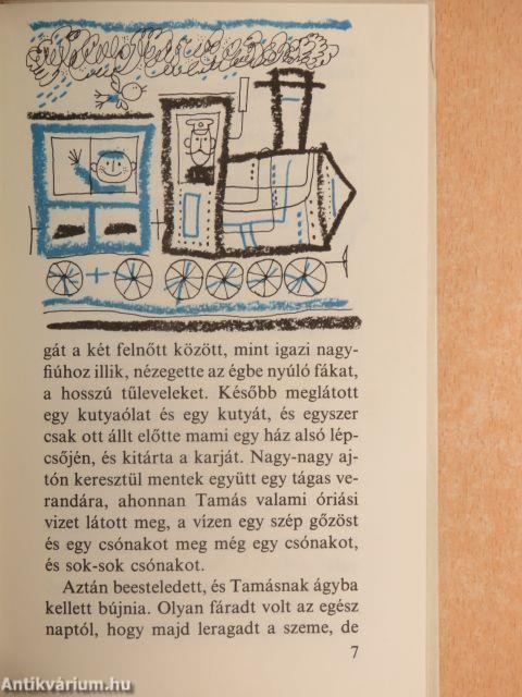 Bice-bóca, hová lettél?