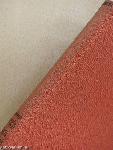 Máglyák Firenzében