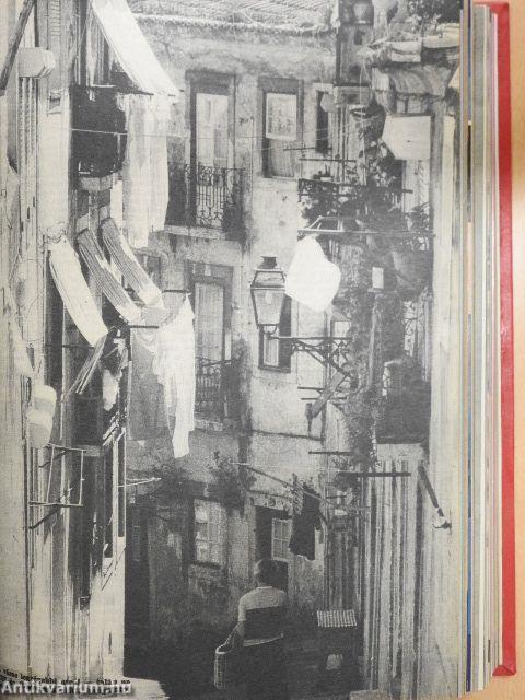 IPM 1986. január-június (fél évfolyam)
