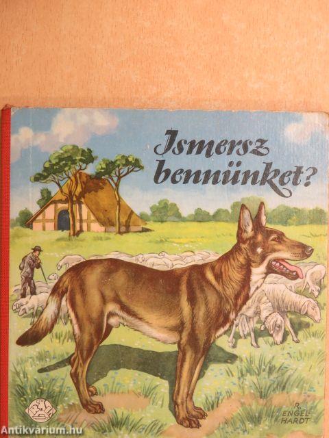 Ismersz bennünket?