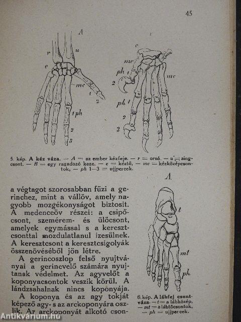 Bevezetés az élettudományba