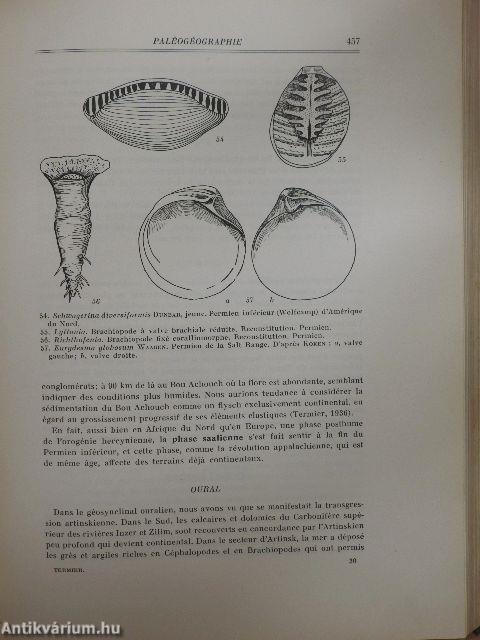 Histoire Géologique de la Biosphére