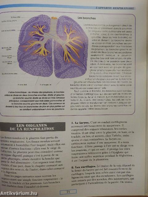 Le grand atlas de l'anatomie