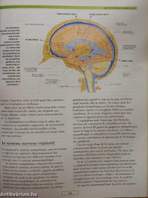 Le grand atlas de l'anatomie