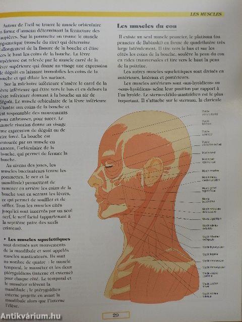 Le grand atlas de l'anatomie