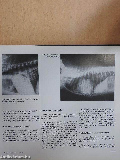 Állatorvosi röntgendiagnosztika