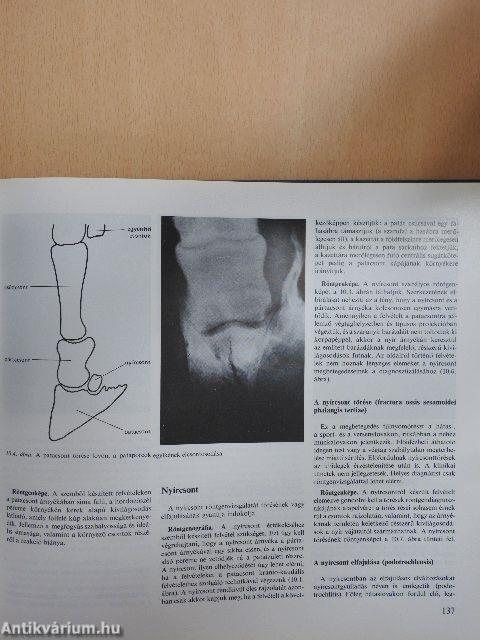 Állatorvosi röntgendiagnosztika