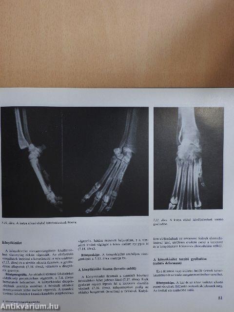 Állatorvosi röntgendiagnosztika