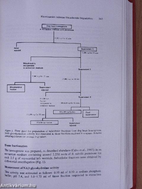 The Metabolism of Contraction (dedikált példány)