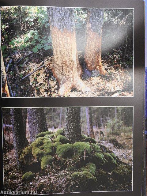 Ile cie trzeba cenic...