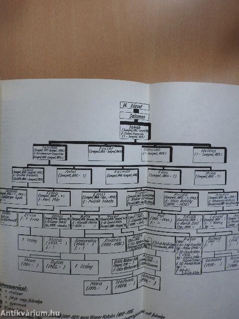 Szegedi könyvtári műhely 1987-1989/1-4.