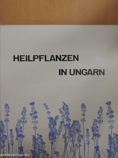 Heilpflanzen in Ungarn