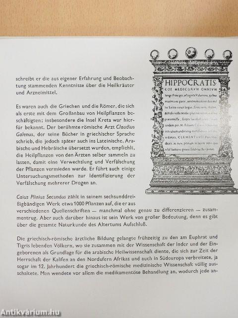 Heilpflanzen in Ungarn