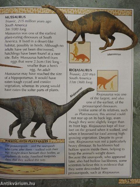 Encyclopedia of Dinosaurs and Other Prehistoric Creatures