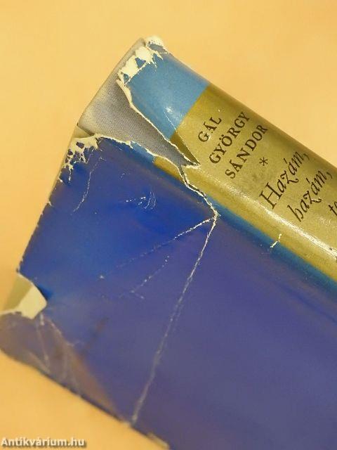 Hazám, hazám, te mindenem