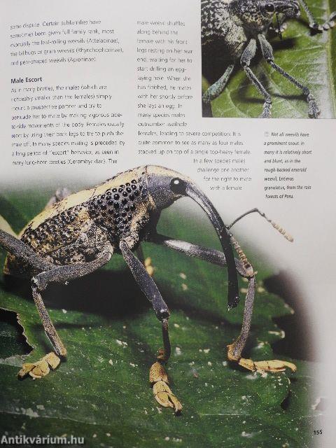 Encyclopedia of Insects and Spiders