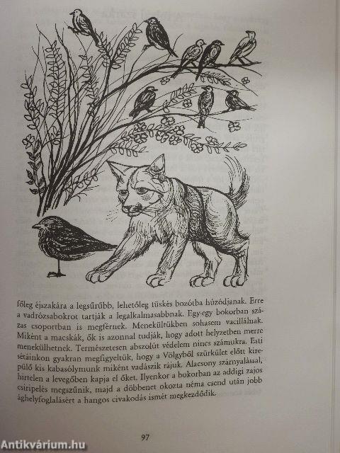 A vízisikló kalandjai