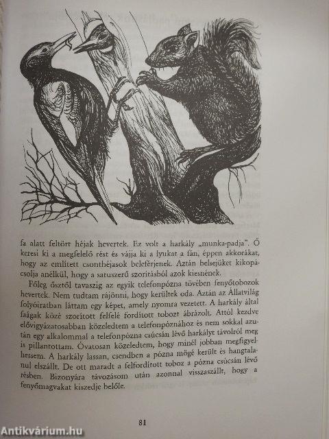 A vízisikló kalandjai