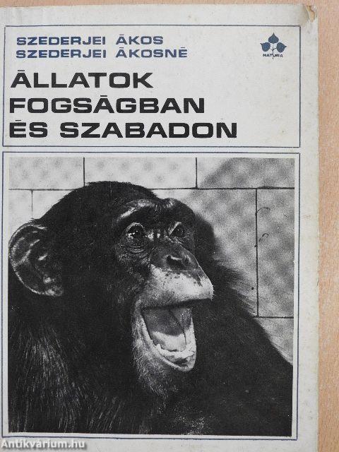 Állatok fogságban és szabadon