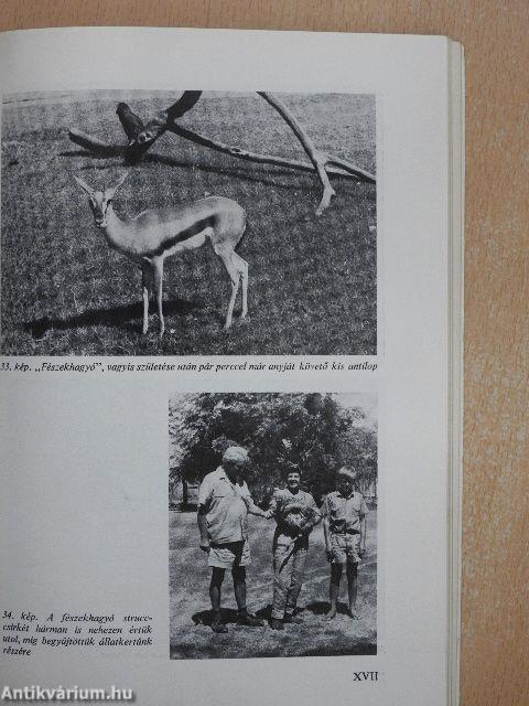 Állatok fogságban és szabadon