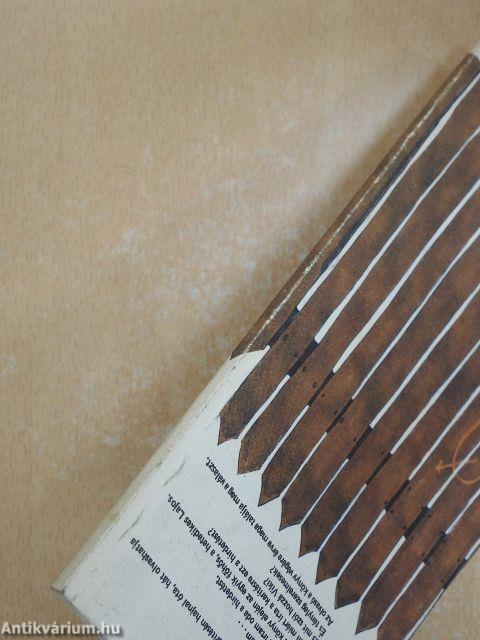 Viki és Lajos szerelmesek