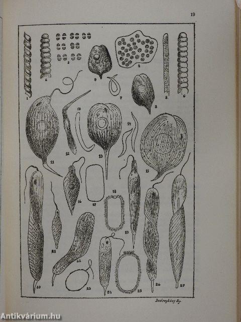 Annales Biologicae Universitatis Szegediensis