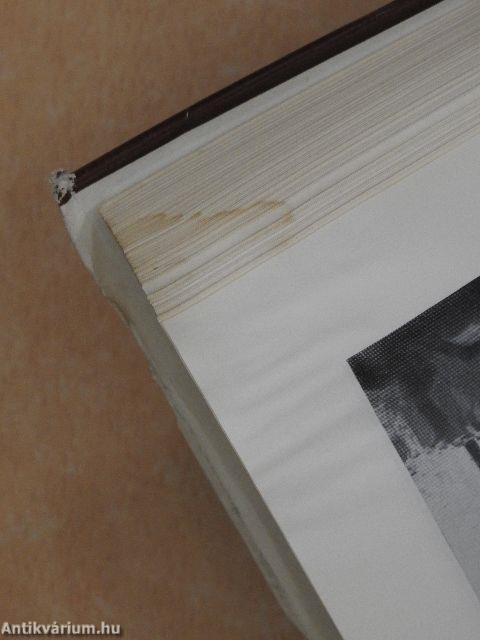 Egy szovjet diplomata visszaemlékezései