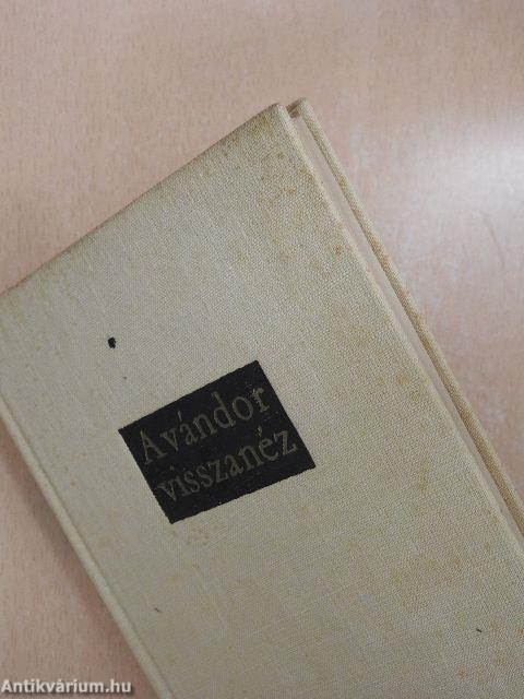 A vándor visszanéz
