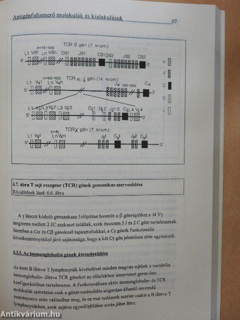 Immunológia