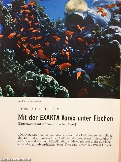 Mit der Exakta Varex unter Fischen/Mit der Exakta Varex unter Fallschirmspringern