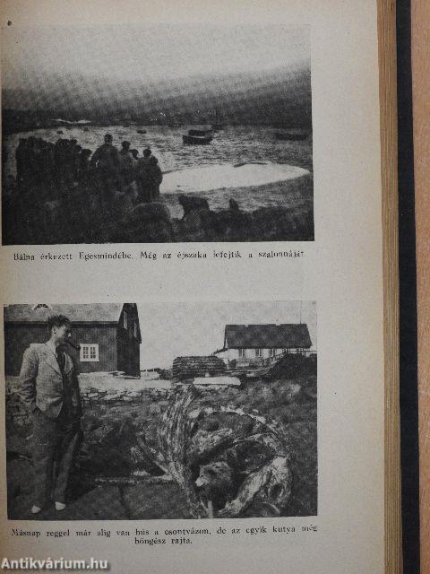 Sok eszkimó egy orvos