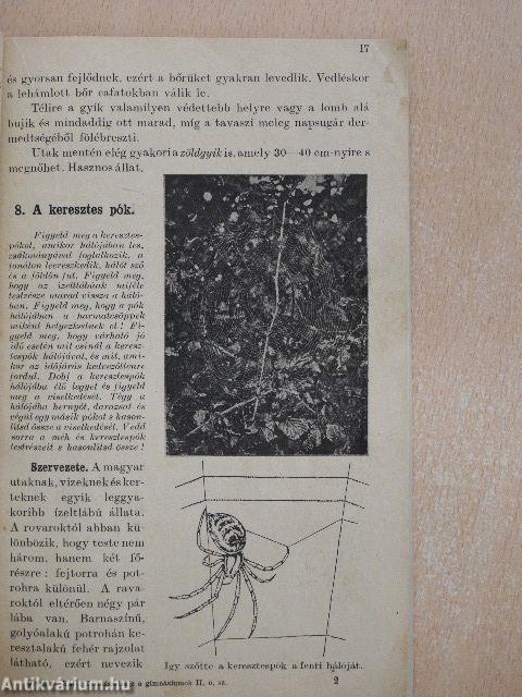 A magyar tájak élete