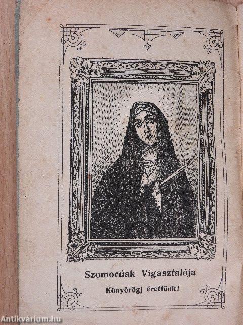 A Szervita-Rend Hétfájdalmú Szűz Mária Társulat-ának fölvételi könyve