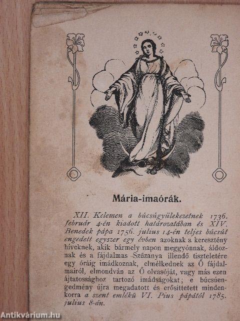 A Szervita-Rend Hétfájdalmú Szűz Mária Társulat-ának fölvételi könyve