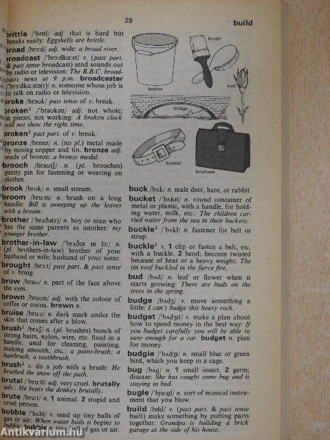 Oxford Basic English Dictionary