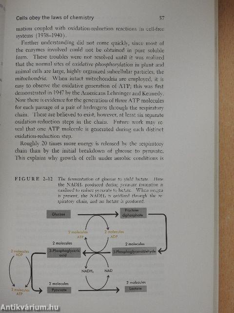 Molecular Biology of the Gene