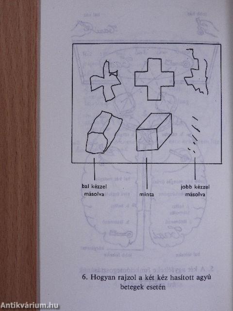 Mi a neuropszichológia? (dedikált példány)