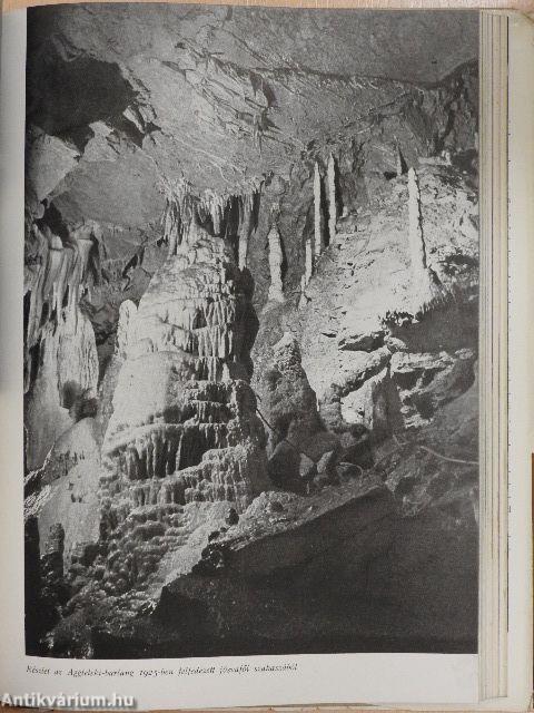 Az örök éjszaka világában