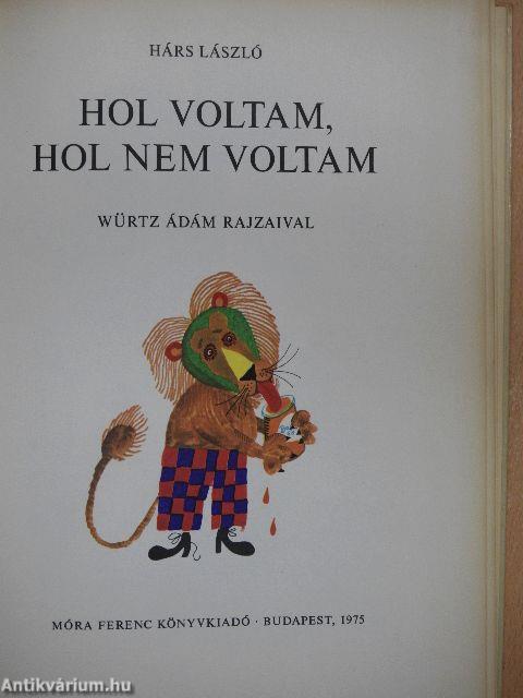 Hol voltam, hol nem voltam