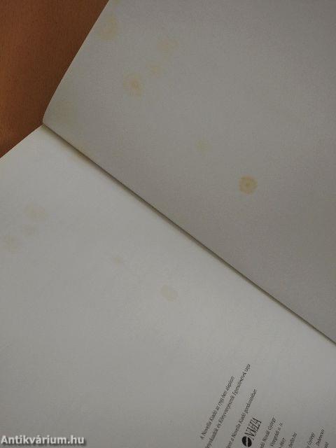 A Kárpát-medence várai