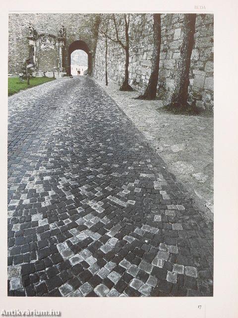 A Kárpát-medence várai