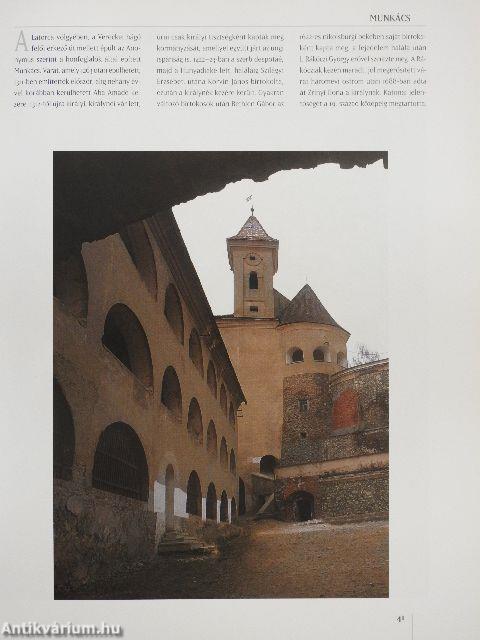 A Kárpát-medence várai