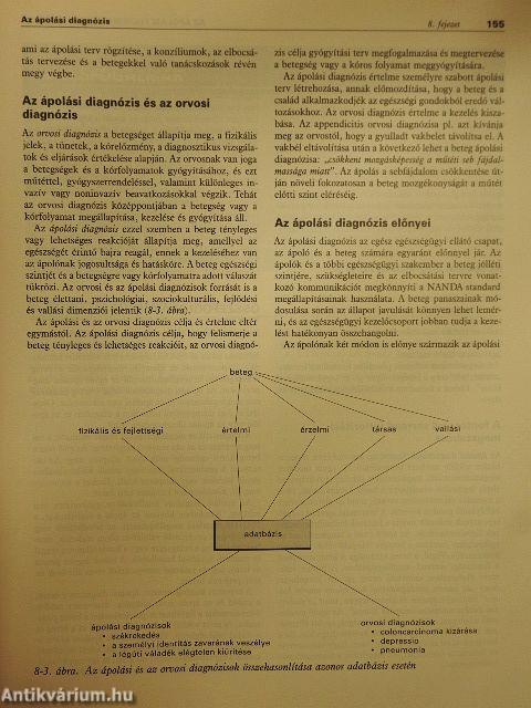 Az ápolás elméleti és gyakorlati alapjai